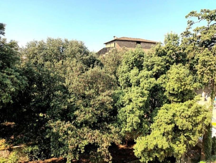 * * * * * Casa Vista Boboli Nel Cuore Di Firenze Florença Exterior foto